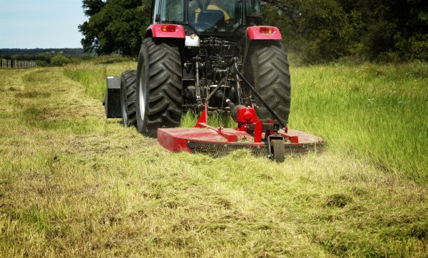 Cost of Brush Clearing Service in Gainesville