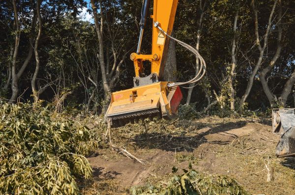 Cost of Brush Removal Service in Gainesville