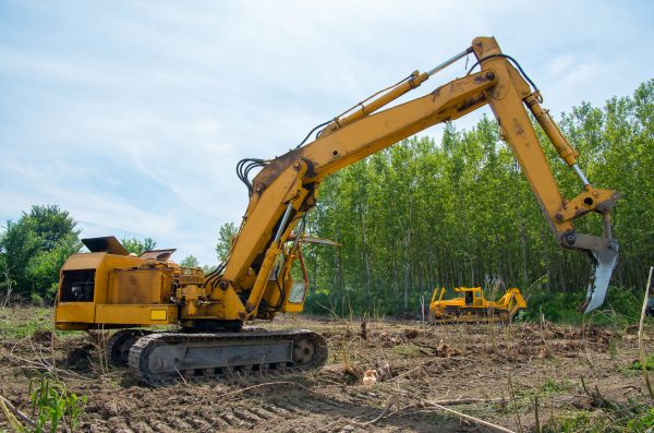 Cost of Farm Clearing in Gainesville