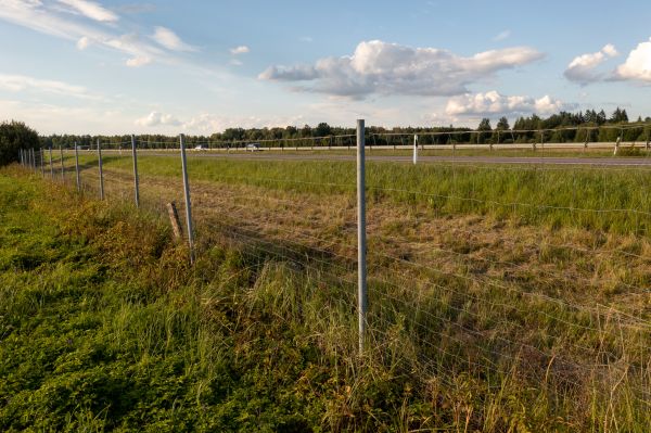 Cost of Property Line Clearing in Gainesville