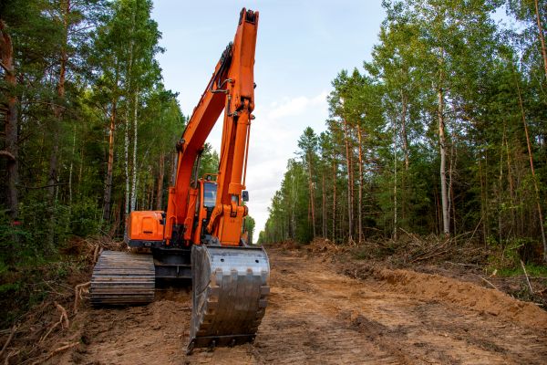 Cost of Backhoe Land Clearing in Gainesville
